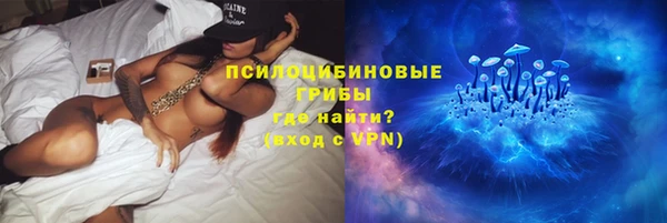гидропоника Медвежьегорск